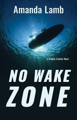Book cover for No Wake Zone
