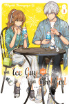 Book cover for The Ice Guy And The Cool Girl 03