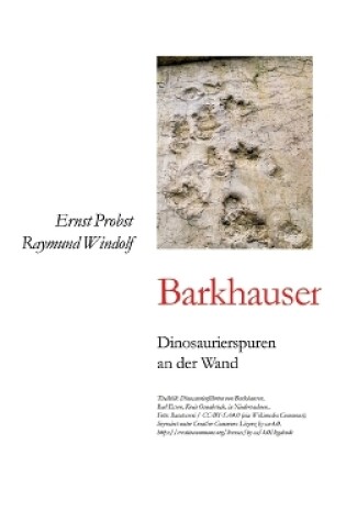 Cover of Barkhausen