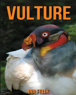 Book cover for Vulture