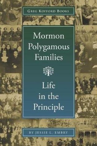 Cover of Mormon Polygamous Families