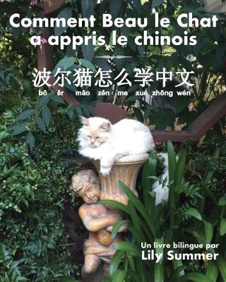 Book cover for Comment Beau le Chat a appris le chinois