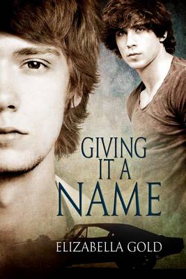 Book cover for Giving It a Name