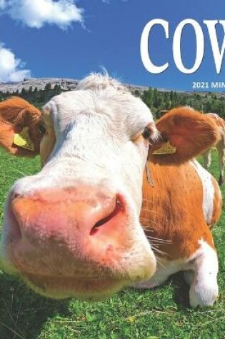 Cover of Cows