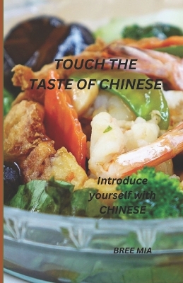 Book cover for Touch the Taste of Chinese