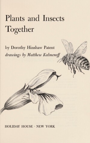 Book cover for Plants and Insects Together