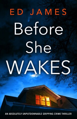 Before She Wakes by Ed James