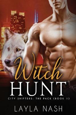 Book cover for Witch Hunt