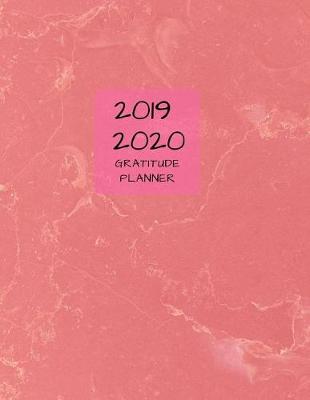 Book cover for 2019 2020 15 Months Marble Pink Gratitude Journal Daily Planner