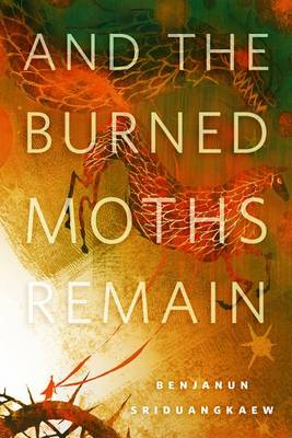 Book cover for And the Burned Moths Remain