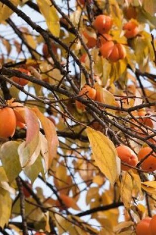 Cover of Persimmon Fruit Tree Journal