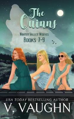 Book cover for The Quinns