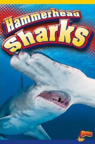 Cover of Hammerhead Sharks