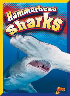 Book cover for Hammerhead Sharks