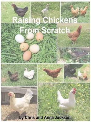 Cover of Raising Chickens from Scratch