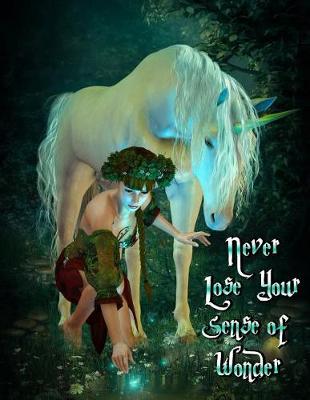 Book cover for Never Lose Your Sense of Wonder