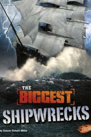 Cover of Historys Biggest Disasters Biggest Shipwrecks