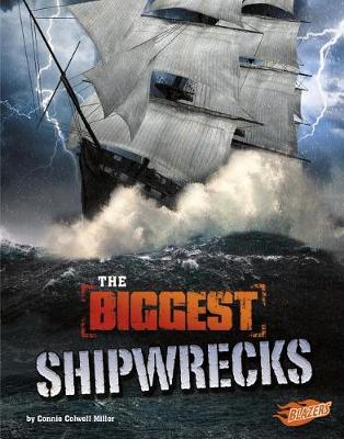 Book cover for Historys Biggest Disasters Biggest Shipwrecks