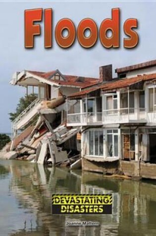 Cover of Floods