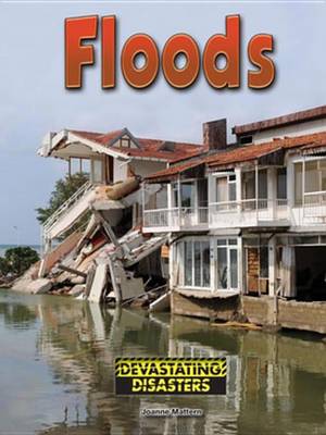 Cover of Floods