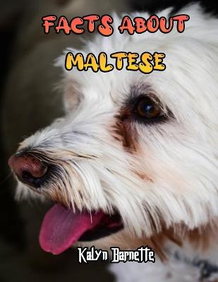 Book cover for Facts about Maltese