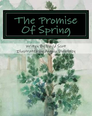 Cover of The Promise Of Spring