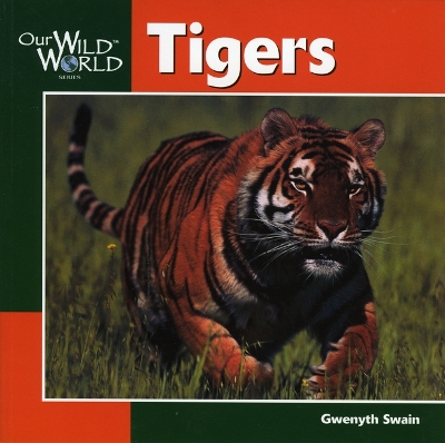 Book cover for Tigers