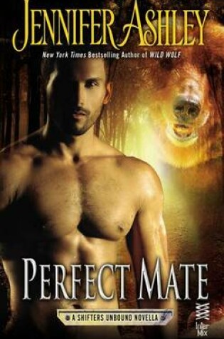 Cover of Perfect Mate