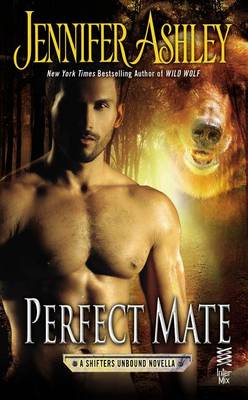 Book cover for Perfect Mate