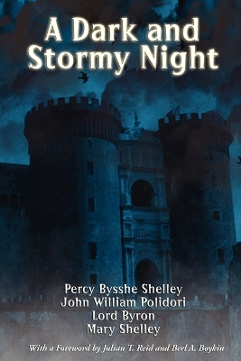 Book cover for A Dark and Stormy Night