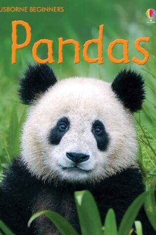 Cover of Pandas