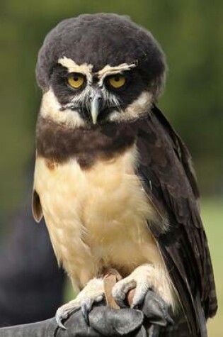 Cover of Spectacled Owl Journal