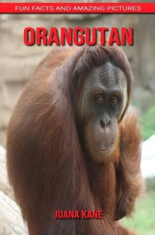 Cover of Orangutan