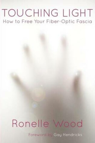 Cover of Touching Light