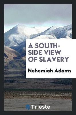 Cover of A South-Side View of Slavery