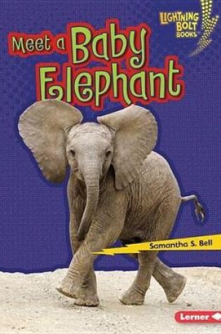 Cover of Meet a Baby Elephant