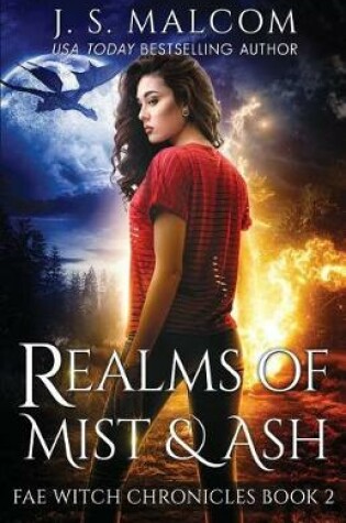 Cover of Realms of Mist and Ash