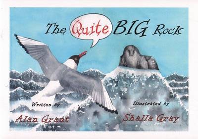 Book cover for The Quite Big Rock