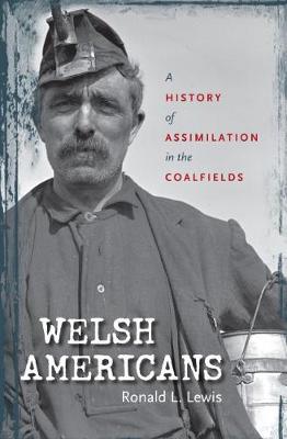 Book cover for Welsh Americans