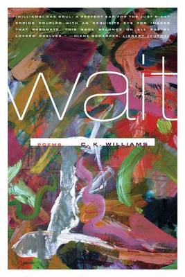 Book cover for Wait