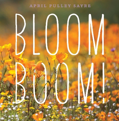 Book cover for Bloom Boom!