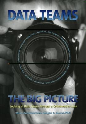 Book cover for Data Teams: The Big Picture