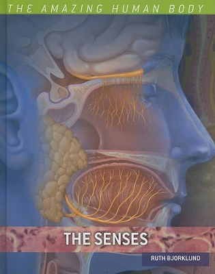 Book cover for The Senses