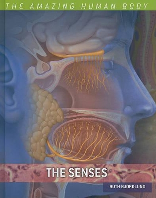 Cover of The Senses