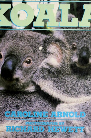 Cover of Koala