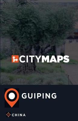 Book cover for City Maps Guiping China