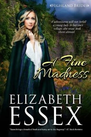 Cover of A Fine Madness