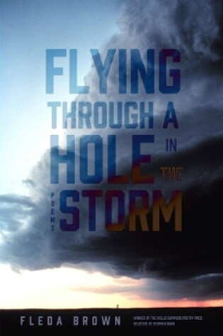 Cover of Flying through a Hole in the Storm