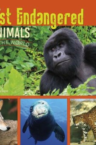 Cover of All About Animals Pack A of 4