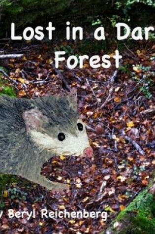 Cover of Lost in a Dark Forest